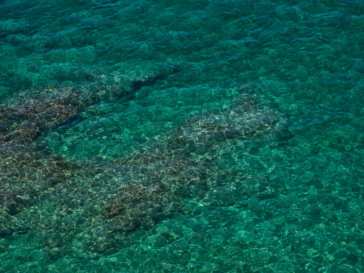 水質(zhì) 水質(zhì)